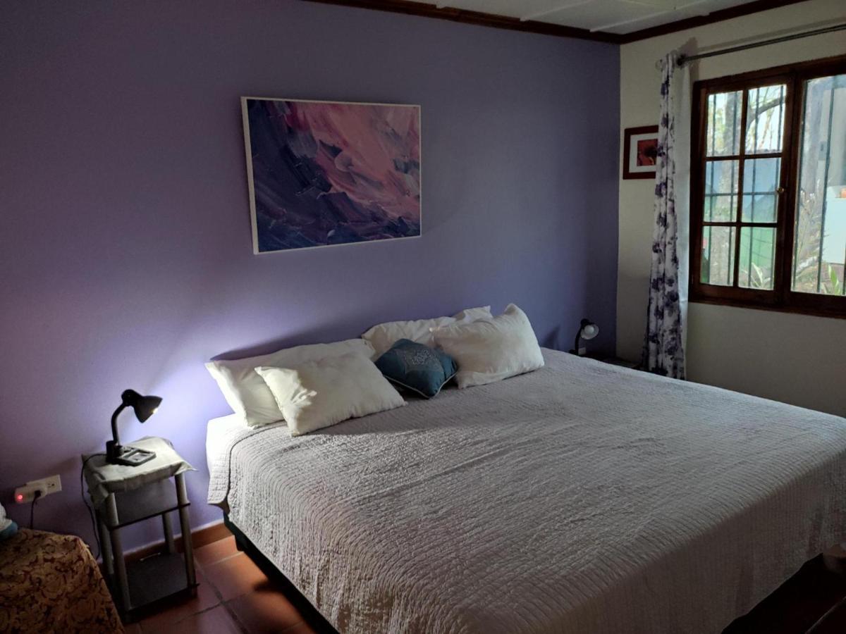 La Jungla Experience Lodgings - House OR Apartment Boquete Extérieur photo