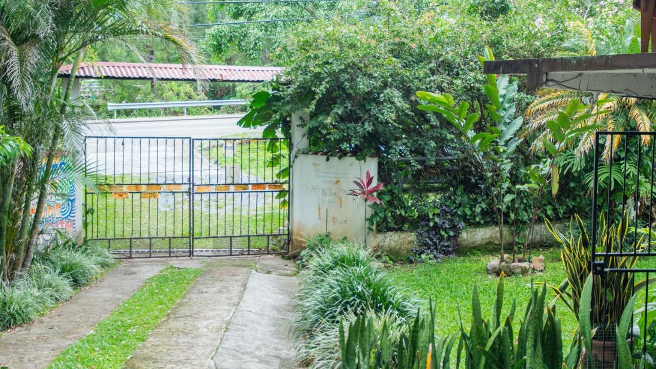 La Jungla Experience Lodgings - House OR Apartment Boquete Extérieur photo